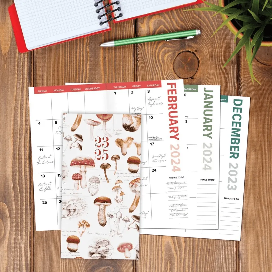 Mushroom Study Academic 2023 - 2025 Calendar